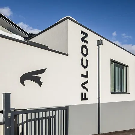 Falcon Zell Am * Τσελ αμ Ζέε